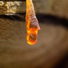 Amber Resin Infused Rollerball