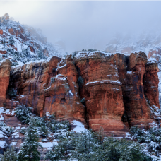 Inverno Mystico – Winter Synergy | Essential Oils for Renewal and Protection