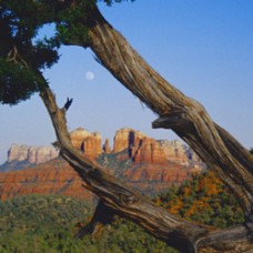 Spirito di Sedona Essential Oil Blend