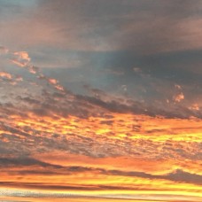 Sky is the Limit Essential Oil Blend | Growth, Renewal, and Luck
