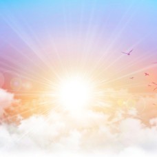 Sole e Gioia - Sun and Joy Specialty Blend
