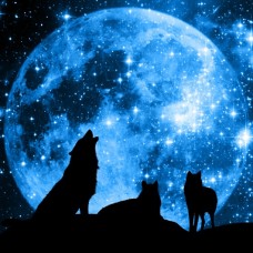 Wolf Super Moon Essential Oil Blend