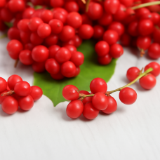 Schisandra CO₂ Total Extract | Adaptogenic + Hormonal Support