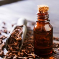 Clove Bud CO2 Select Extract Organic Clove Bud CO2 Select Extract Organic