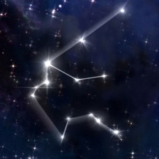 Aquarius Astrological Flower Essence