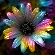 La Mia Dia Flower Essence