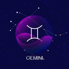 Gemini Astrological Flower Essence