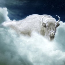 White Buffalo Vibrational Essence