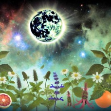 Mystic Syzygy Hydrosol Blend