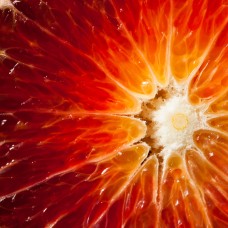 Blood Orange Hydrosol | Radiant and Uplifting