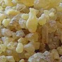 Frankincense Hydrosol | Sacred and Grounding