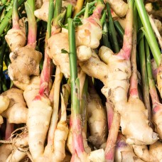 Ginger Hydrosol | Warming Digestive and Emotional Support