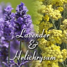 Lavender-Helichrysum Hydrosol | Calming Harmony