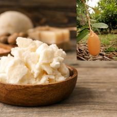 Cupuaçu Butter | Virgina | Deep Hydration and Skin Nourishment