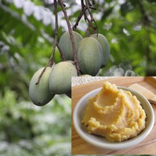 Mango Butter - Virgin, Unrefined, Wild Harvested