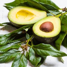 Avocado Butter | Unrefined | Nutrient-Dense Skin and Hair Moisturizer