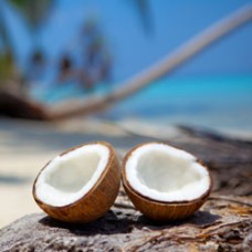 Organic Coconut Oil | Therapeutic and Antimicrobial Benefits