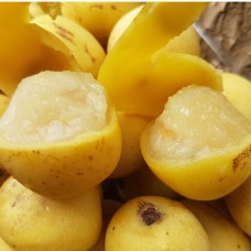 Marula Oil | The Elixir of Youth | Hydrating and Rejuvenating