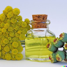 Helichrysum italicum, Corsican -10% Dilution Organic Jojoba