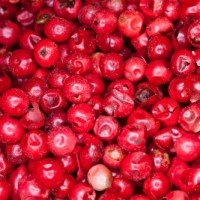 Pink Pepper Essential Oil