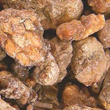 Pinon Pine Resin | Wild | Hand-Harvested in the Mojave Desert 