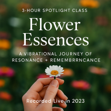 Flower Essences: A Vibrational Journey of Resonance + Remembrance