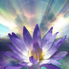 Integrazione – The Integration Blend | Essential Oils for Healing and Wholeness