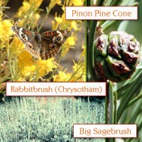 Golden Trinity Essential Oil
