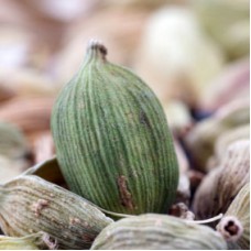 Cardamom Essential Oil