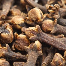 Clove Bud Essential Oil | Immune & Pain Support
