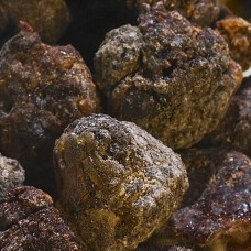 Frankincense neglecta (Black) Essential Oil - Limited Reserve